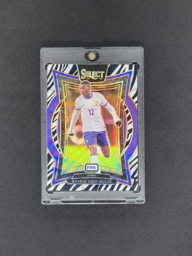 Randal Kolo Muani 2024 Panini Select Zebra Prizm