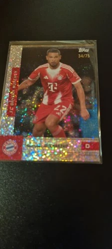 Raphael Guerreiro 2025 Topps FC Bayern München Team Set 34/75
