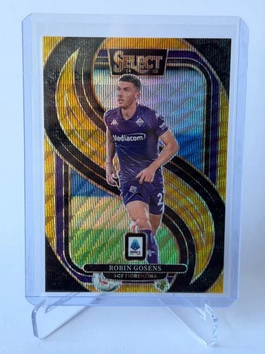 Robin Gosens 2024 Panini Select Gold /10