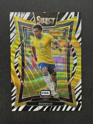 Rodrygo 2024 Panini Select FIFA Zebra Prizm