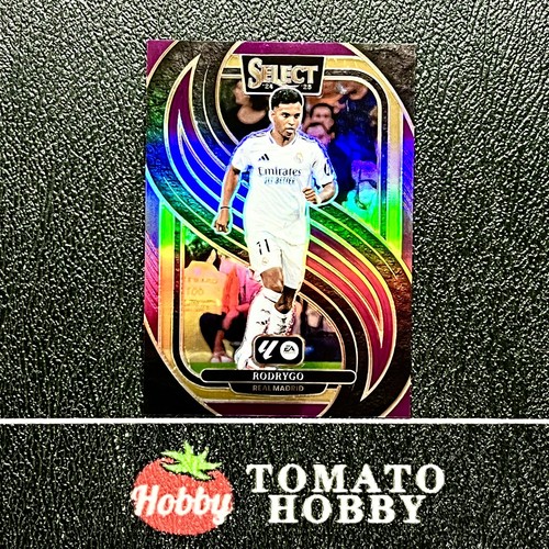 Rodrygo 2024 Panini Select Viola Rifrattore /99