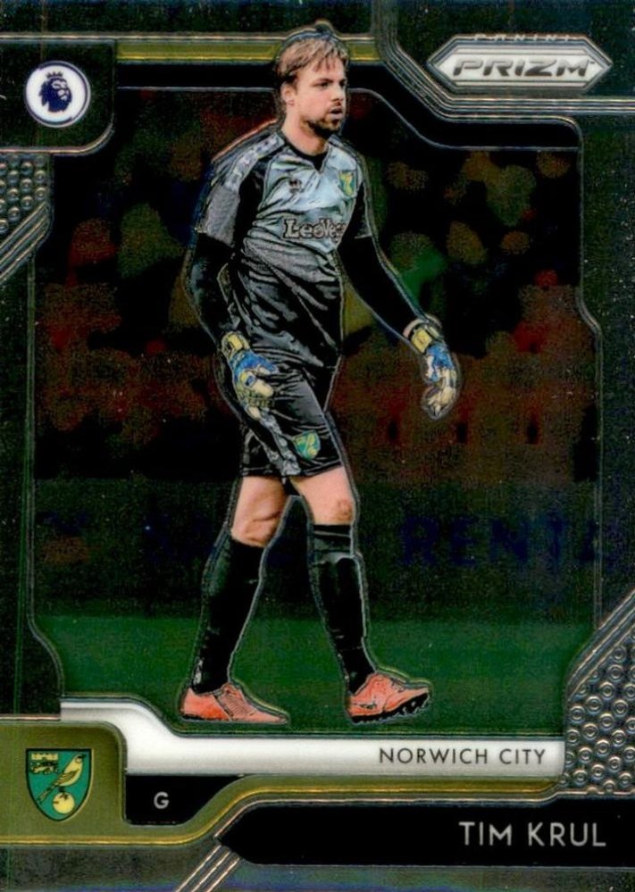 Tim Krul 2019 Panini Prizm Premier League 19