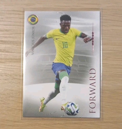 Vinicius Junior 2024 Panini Futera UNICA /55