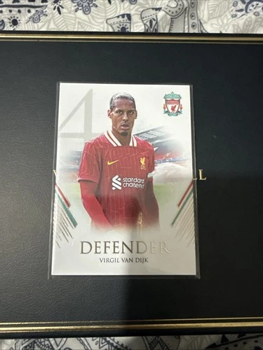 Virgil van Dijk 2024 Panini Futera /96