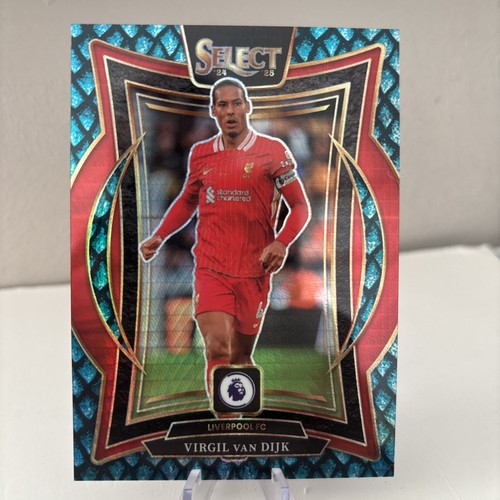 Virgil van Dijk 2024 Panini Select Dragon Scale /48