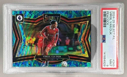 Virgil Van Dijk 2024 Panini Select Premier League Peacock Prizm