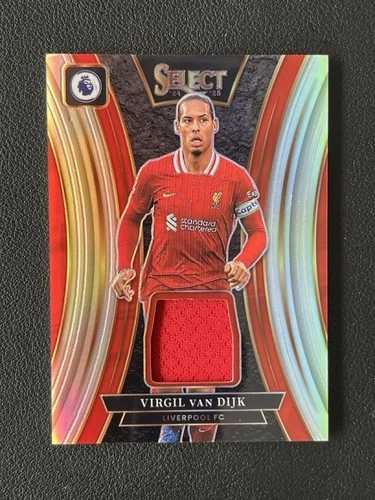 Virgil van Dijk 2024 Panini Seleziona Argento