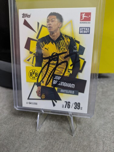 Jobe Bellingham Merlin Chrome 