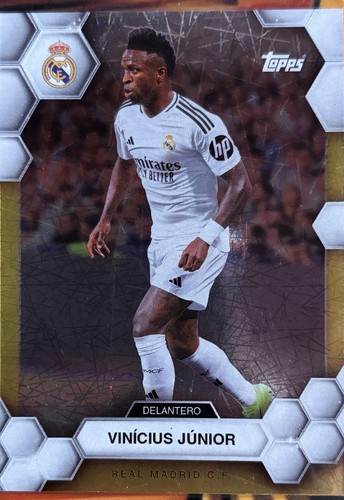Vinicius Junior Real Madrid Team Set 