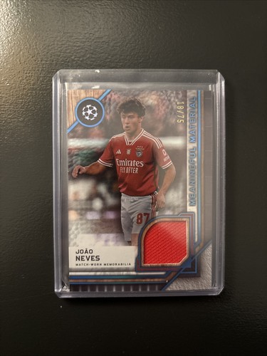 Joao Neves Museum Collection 